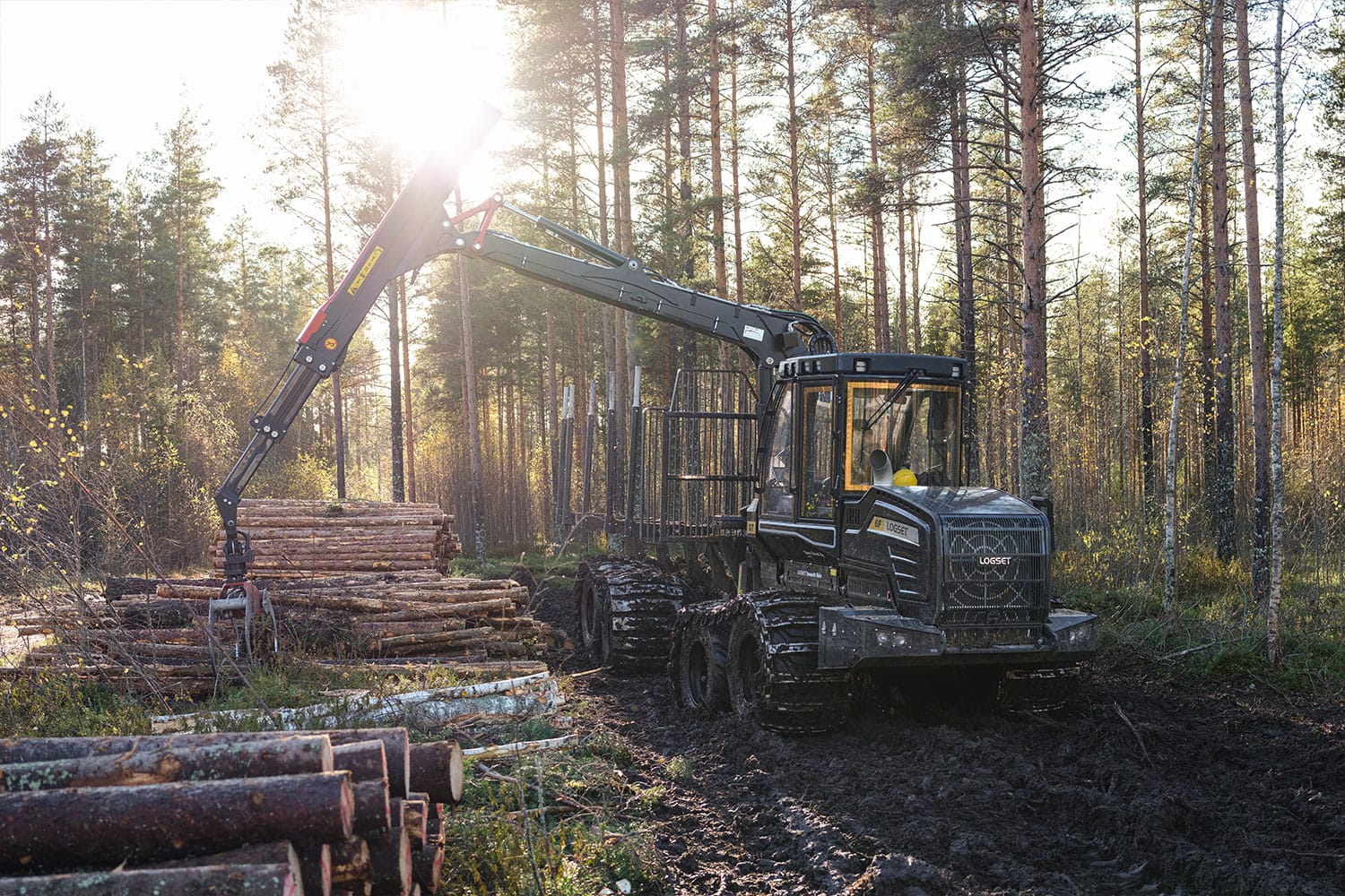 6F GT im Wald 